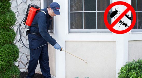 Avcılar Gümüşkurt İlaçlama böcek ilaçlama ve haşere kontrolü — ilaclama-tr.com